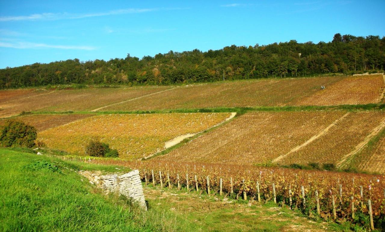 مبيت وإفطار Saint-Romain  Domaine De La Corgette المظهر الخارجي الصورة